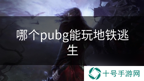 哪个pubg能玩地铁逃生